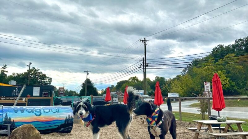 Wagbar - Weaverville, NC