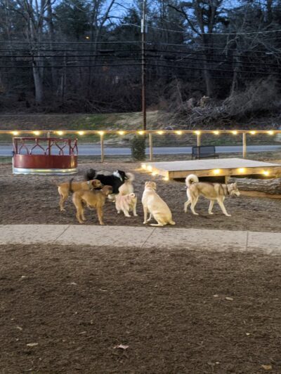 Wagbar - Weaverville, NC