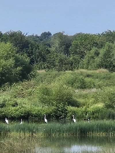 Frisco Greenway Trail - Webb City Trailhead - Webb City, MO