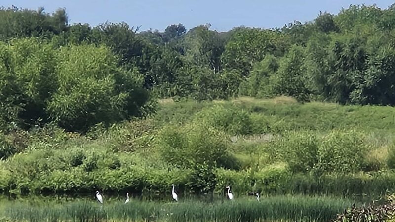 Frisco Greenway Trail - Webb City Trailhead - Webb City, MO