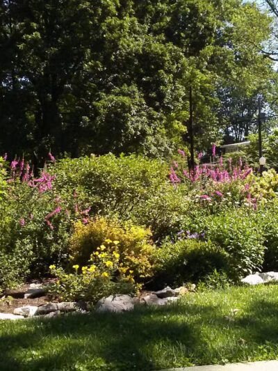 Barnickel Park - Webster Groves, MO