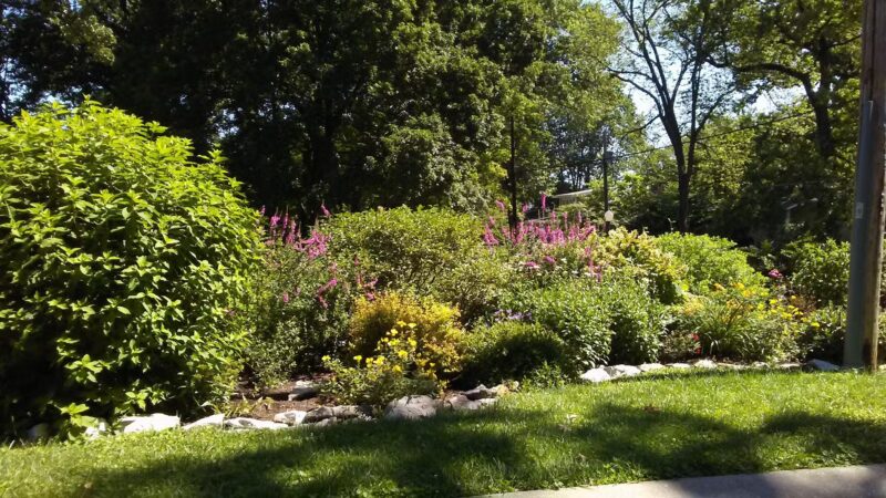 Barnickel Park - Webster Groves, MO