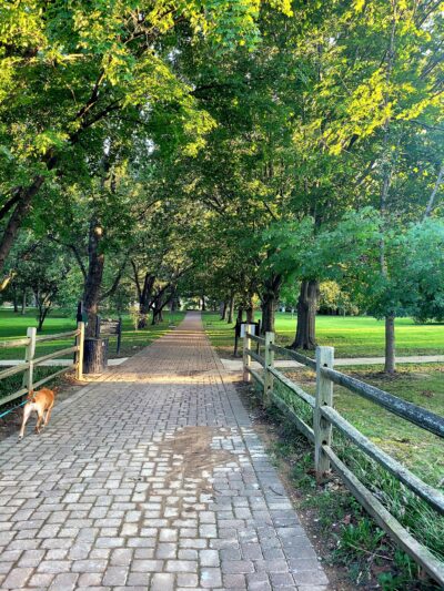 Blackburn Park - Webster Groves, MO