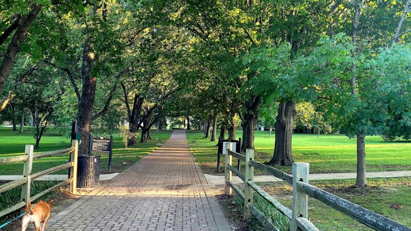 Blackburn Park - Webster Groves, MO
