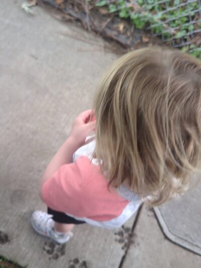 Glen Park - Webster Groves, MO