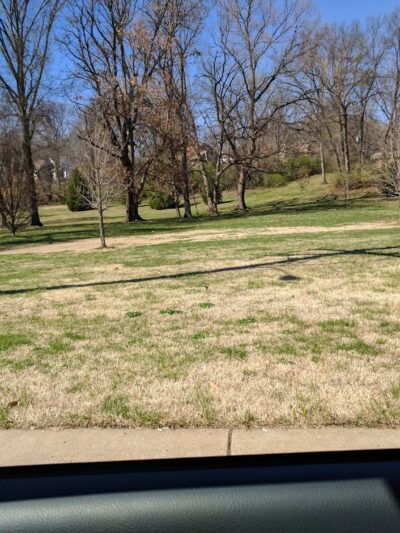 Barbre Park - Webster Groves, MO