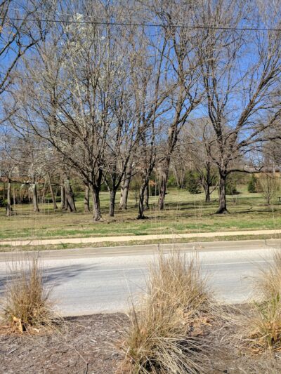 Barbre Park - Webster Groves, MO