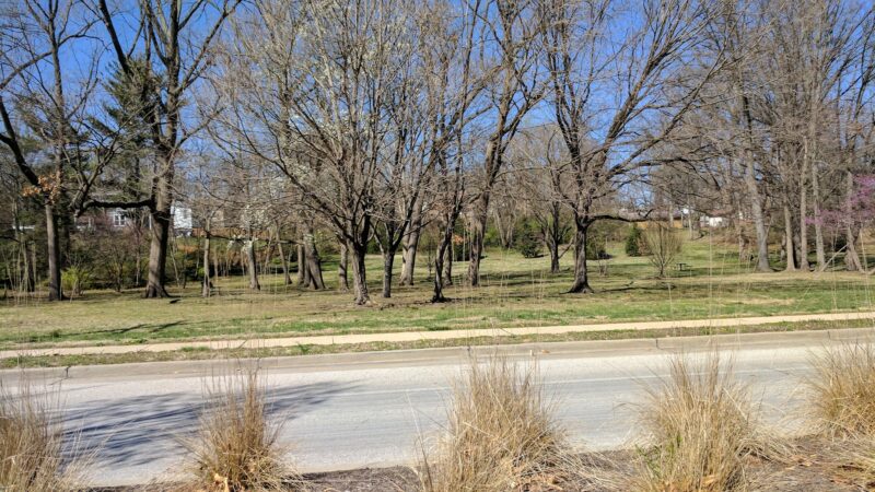 Barbre Park - Webster Groves, MO