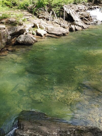 Sycamore Park - Webster Springs, WV