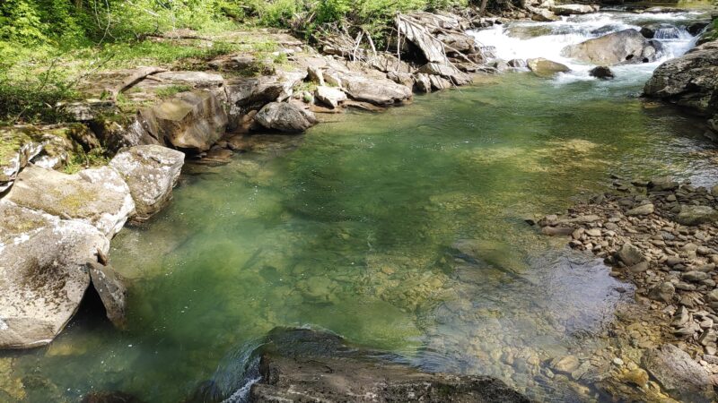 Sycamore Park - Webster Springs, WV
