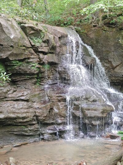 Sycamore Park - Webster Springs, WV