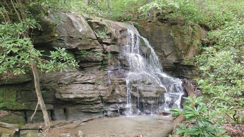 Sycamore Park - Webster Springs, WV