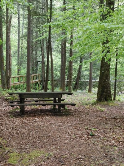 Sycamore Park - Webster Springs, WV