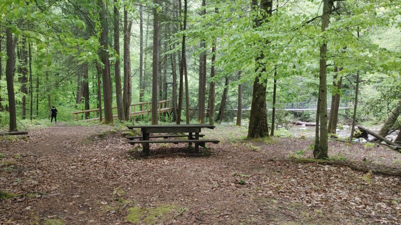 Sycamore Park - Webster Springs, WV