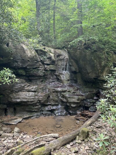 Sycamore Park - Webster Springs, WV