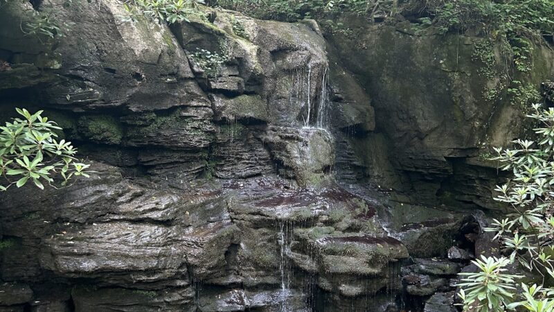 Sycamore Park - Webster Springs, WV