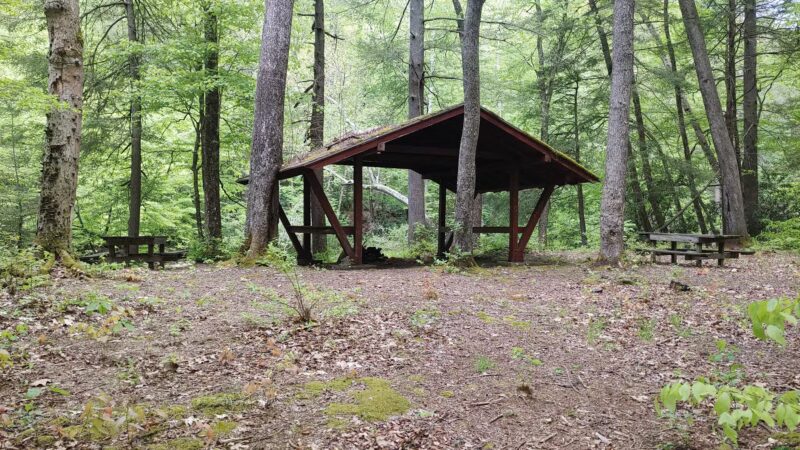 Sycamore Park - Webster Springs, WV