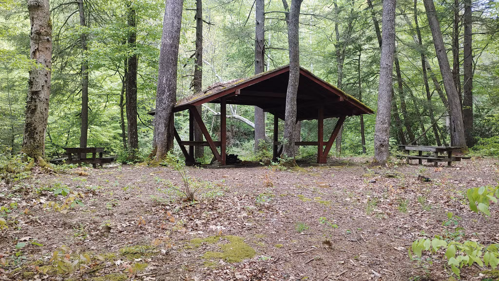 Sycamore Park - Webster Springs, WV