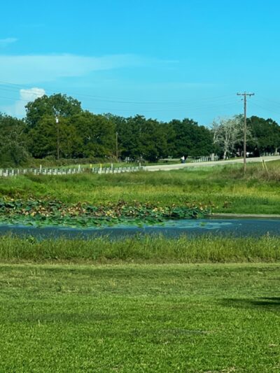 Unknown Park - Weimar, TX