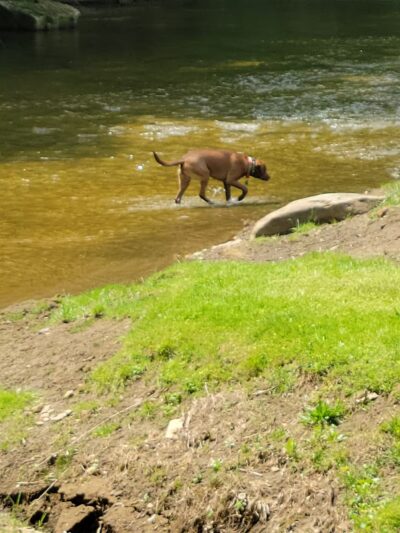 Cove Valley Park - Weirton, WV