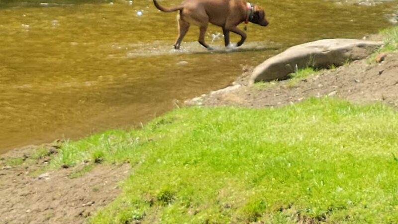 Cove Valley Park - Weirton, WV