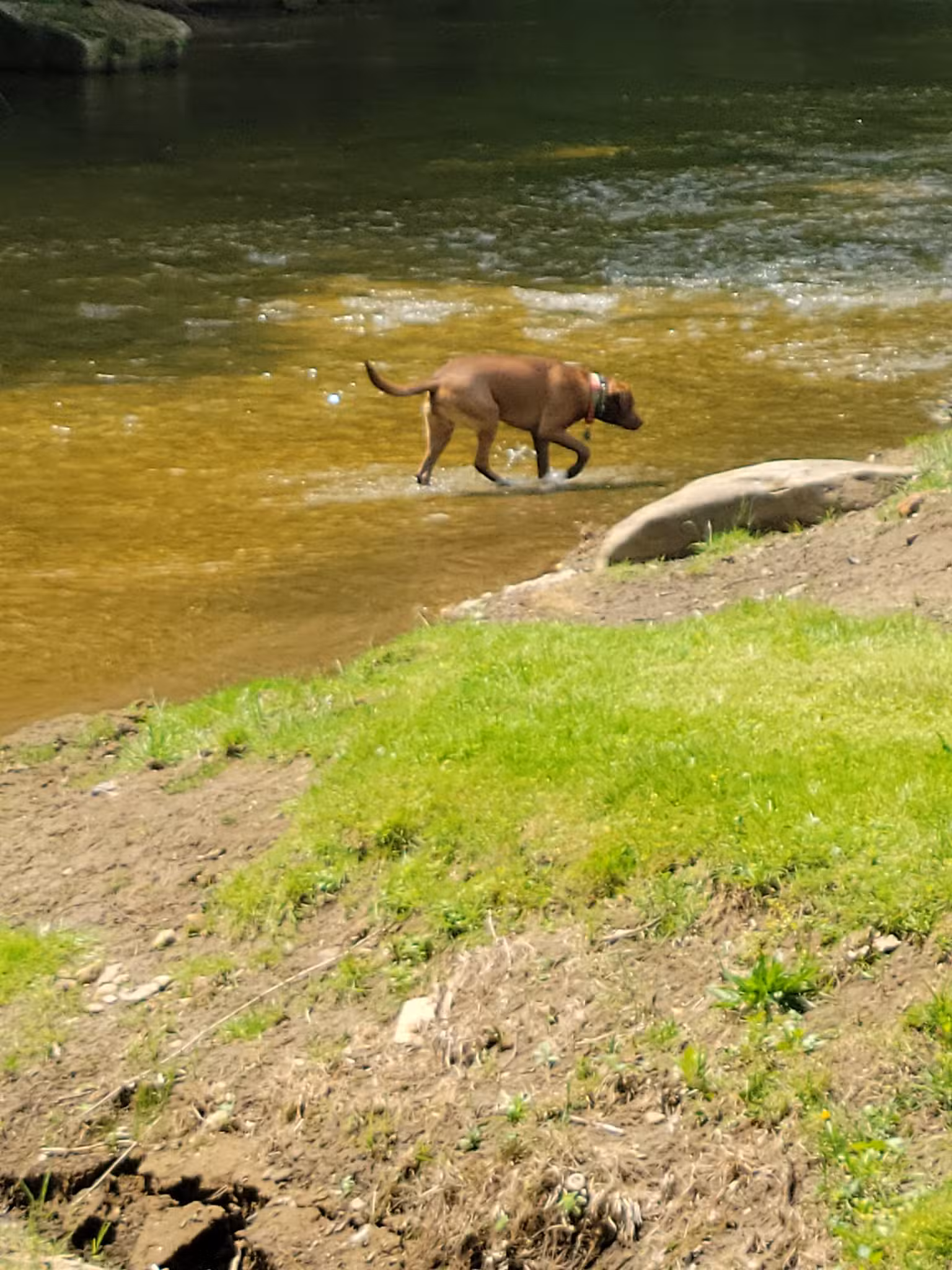 Cove Valley Park - Weirton, WV