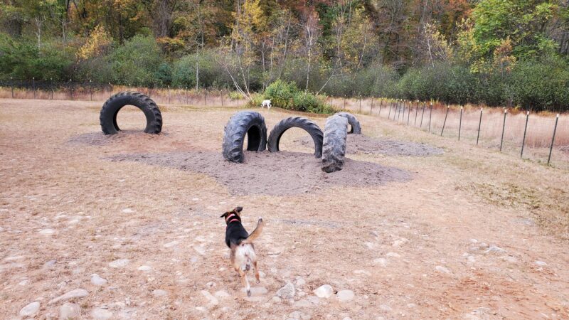 River Point Canine Park - Weissport, PA