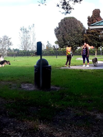 Wellington Dog Park - Wellington, FL