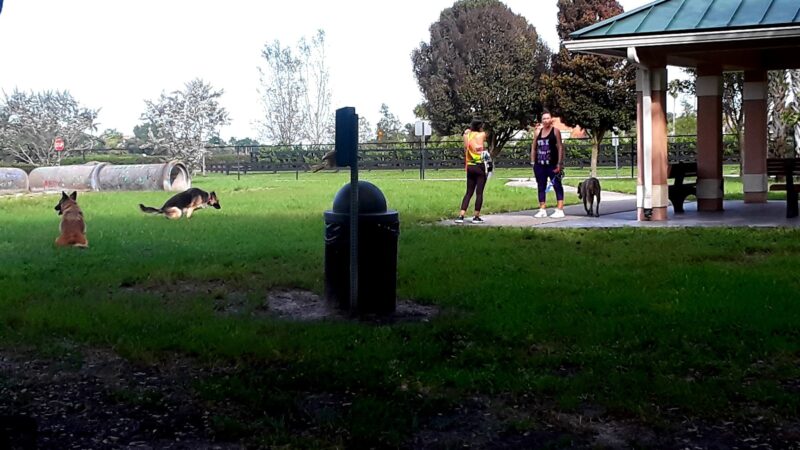 Wellington Dog Park - Wellington, FL