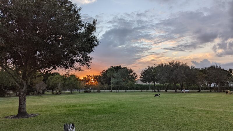 Wellington Dog Park - Wellington, FL