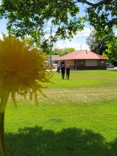 Wellington Community Playground and Pavilion - Wellington, UT