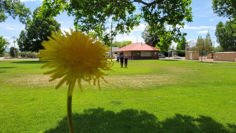 Wellington Community Playground and Pavilion - Wellington, UT