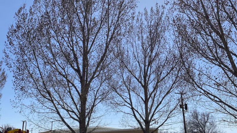 Wellington Community Playground and Pavilion - Wellington, UT