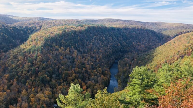 Leonard Harrison State Park - Wellsboro, PA