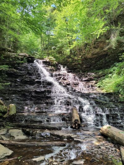 Turkey Path Trail - Wellsboro, PA