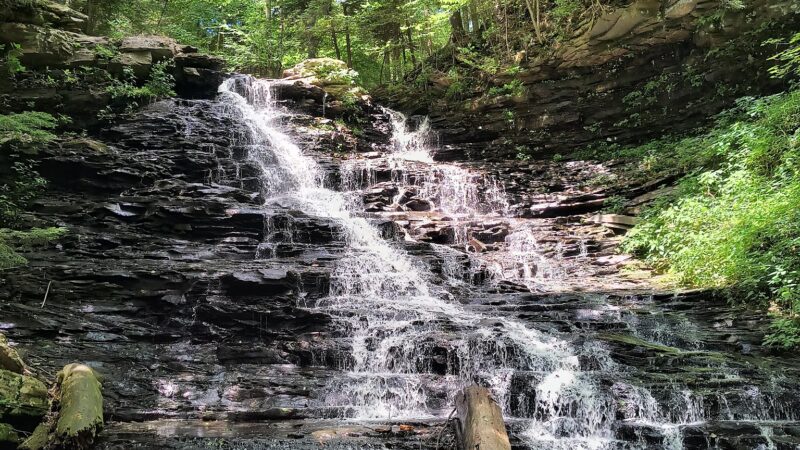 Turkey Path Trail - Wellsboro, PA