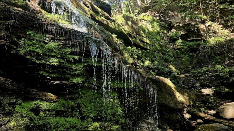 Turkey Path Trail - Wellsboro, PA