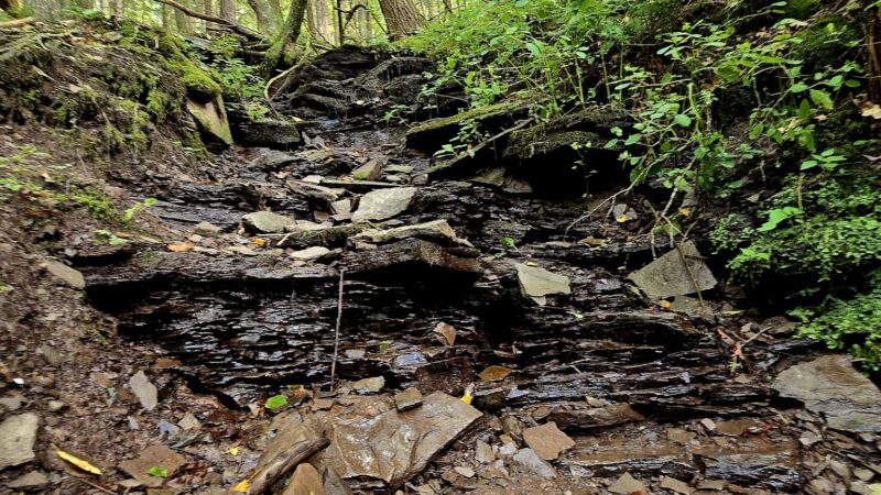 Turkey Path Trail - Wellsboro, PA