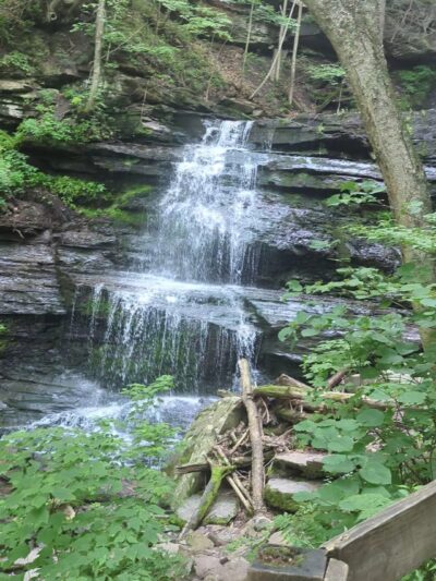 Turkey Path Trail - Wellsboro, PA