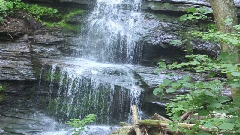 Turkey Path Trail - Wellsboro, PA
