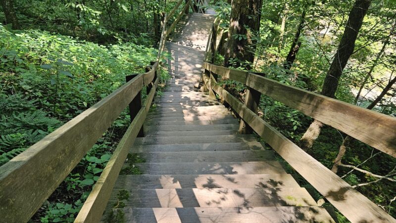 Turkey Path Trail - Wellsboro, PA