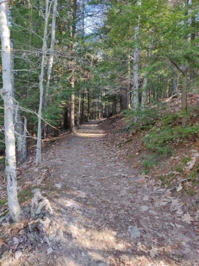Turkey Path Trail Waterfall - Wellsboro, PA
