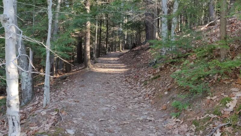 Turkey Path Trail Waterfall - Wellsboro, PA