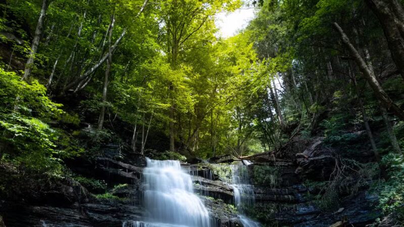 Turkey Path Trail Waterfall - Wellsboro, PA