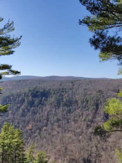 Turkey Path Trail Waterfall - Wellsboro, PA
