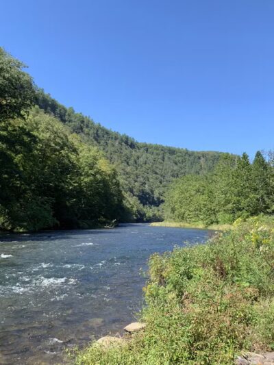 Turkey Path Trail Waterfall - Wellsboro, PA