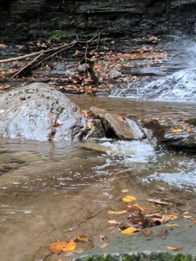 Turkey Path Trail Waterfall - Wellsboro, PA