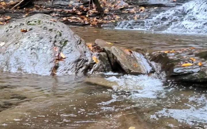 Turkey Path Trail Waterfall - Wellsboro, PA