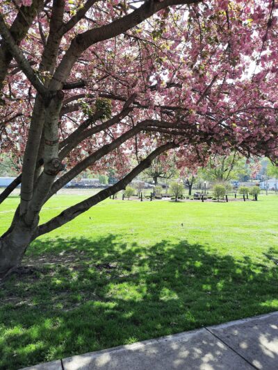 Wellsburg City Park - Wellsburg, WV