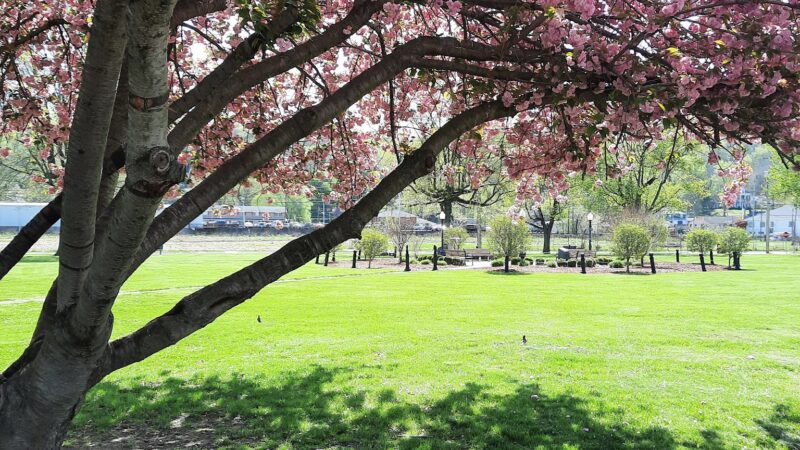 Wellsburg City Park - Wellsburg, WV